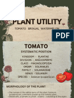 PLANT UTILITY - 20240317 - 214052 - 0000 (1) - Compressed