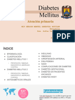Diabetes Mellitus: Atención Primaria
