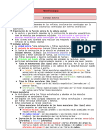 Sistemas Motores PHYSIOLOGY