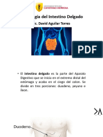 Radiologia Del Intestino Delgado2022