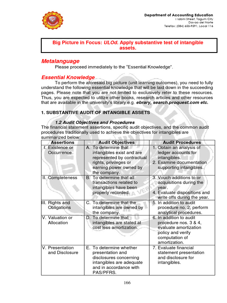 Audit Procedures for Intangible Assets | PDF | Book Value | Goodwill ...