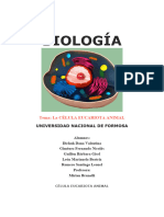 Biologia TP 1