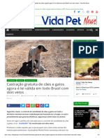 Castração gratuita de cães e gatos agora é lei válida em todo Brasil com dois vetos - Vida Pet News