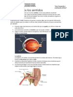 Material de Consulta CN 2do Trimestre