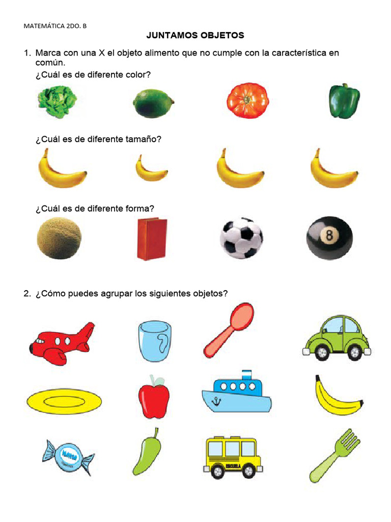 Agrupación y clasificación de objetos | PDF