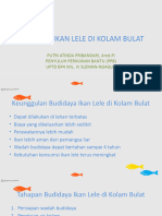 Budidaya Ikan Lele Kolam Bulat