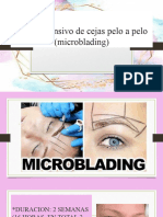 Curso Microblading