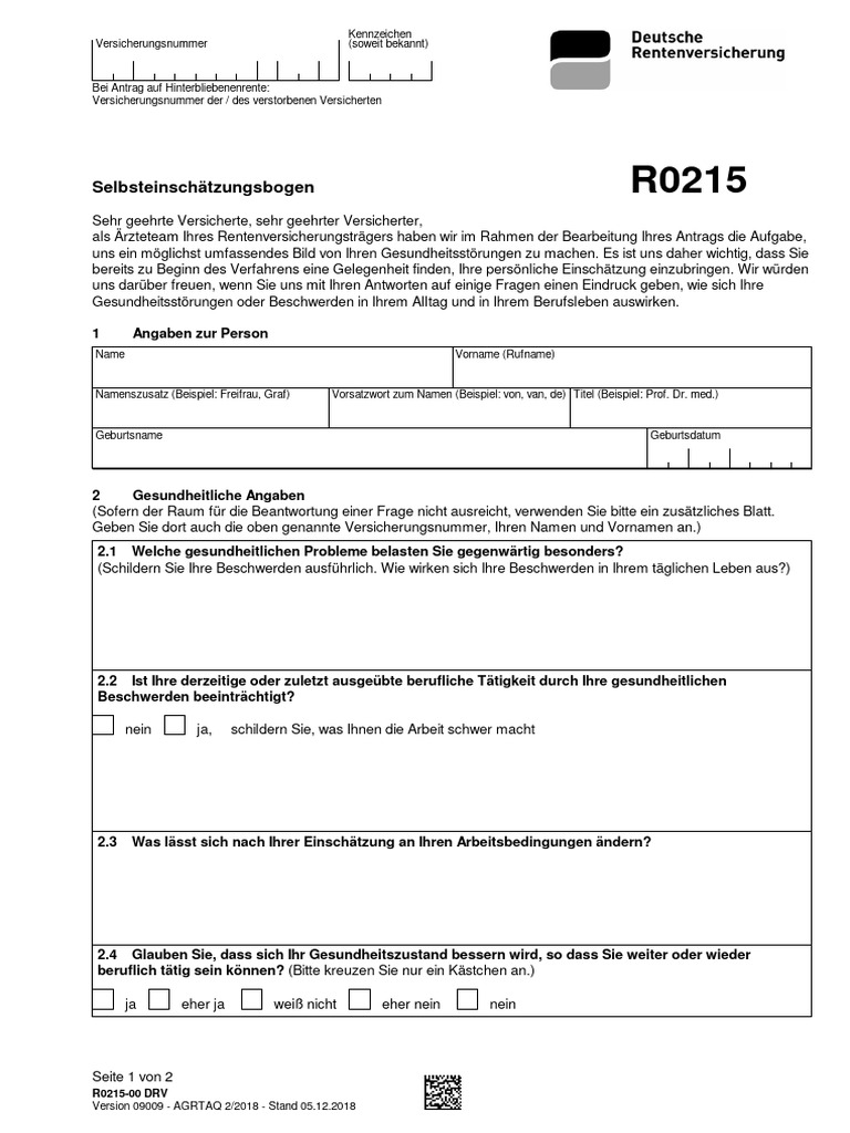 Selbsteinschätzungsbogen: R0215-00 DRV | PDF