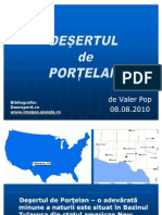 USA - Desertul de Portelan