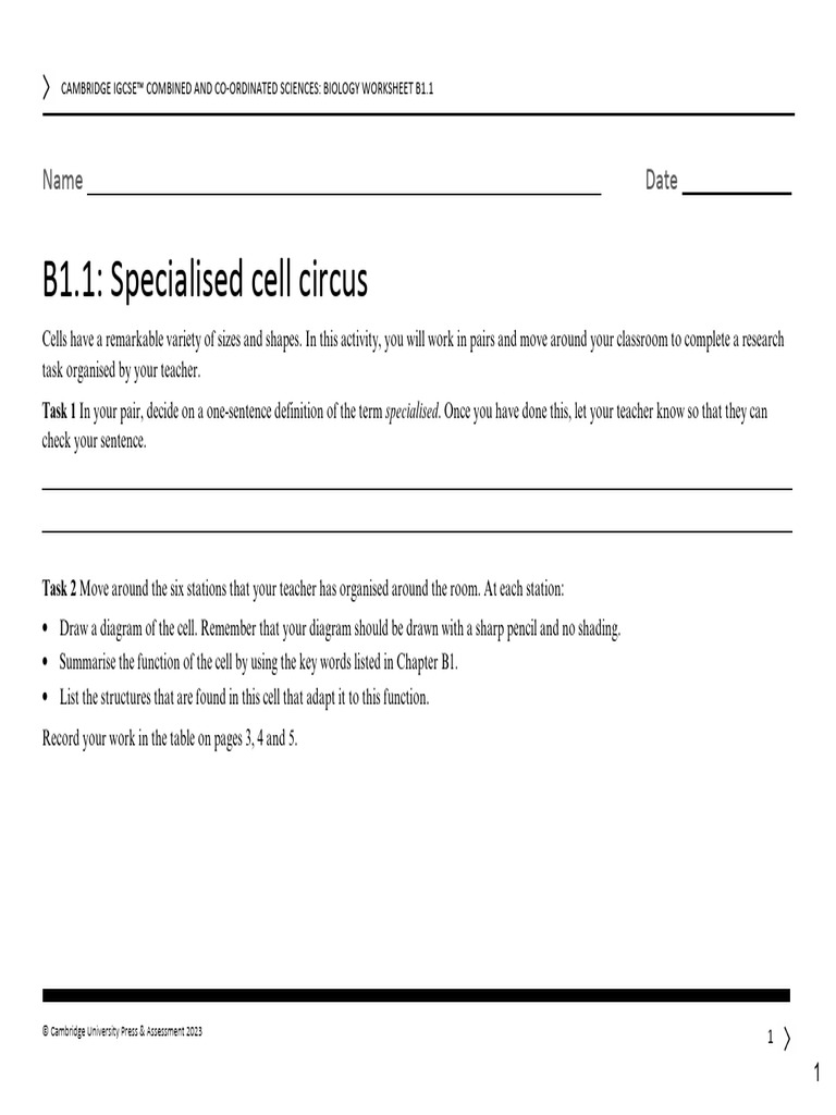 Igcse Bio CS WS | PDF | Cell (Biology) | Carbohydrates