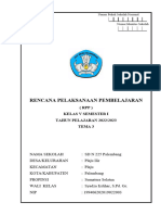 RPP Tema 3