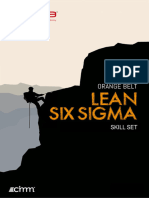 Skill Set Lean Six Sigma Orange Belt v3.2
