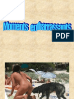 Moments Embarrass Ants