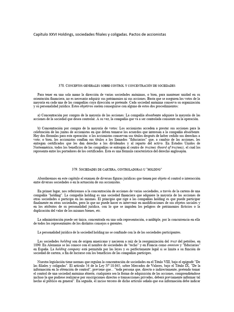Capitulo XXVI Holdings PDF Sociedad Compartir (Finanzas)
