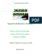 Calculo Integral