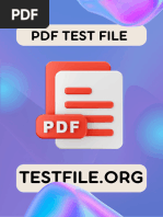 100mb Testfile - Org Compressed