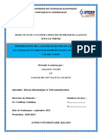 MEMOIRE LICENCE