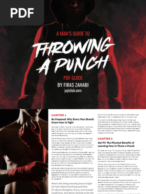 A_Man_s_Guide_to_Throwing_a_Punch