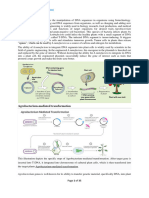 Module 4_rdt