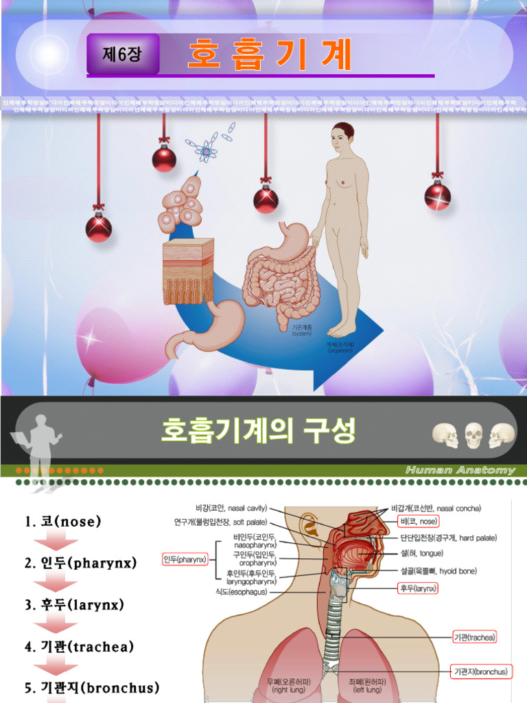 14 | PDF, image size:768x1024