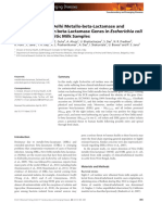 MBL in Mastitic Milk