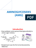 Amino Glyc o Sides