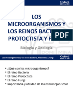 Microorg Presentacion