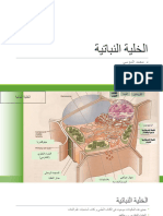 1 Plant Cell