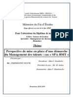 Perspective de Mise en Place D'une Démarche Du Management Des Talents