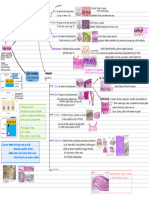 Histoembriologia ppt 1 