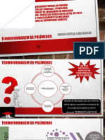 Termoformagem - Jucelia PDF