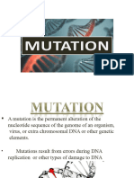4.2 Mutation