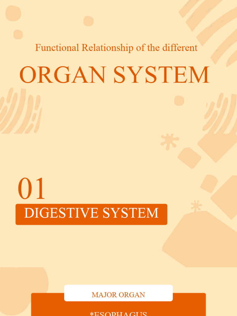 Functional relationship of the different pdf