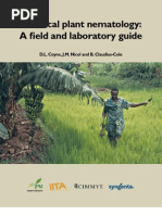 Fiber Plants | PDF | Biofuel | Dietary Fiber