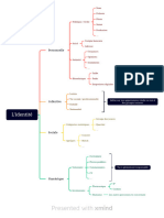 L'identité