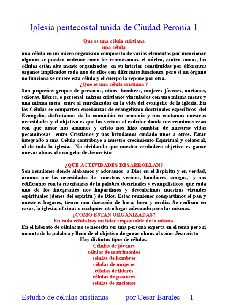 Celulas Cristianas Oracion Biblia