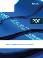 5.4.2c Casos Presupuestos y Control de Gestion