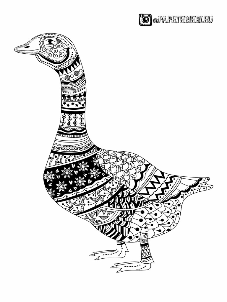 Animal Coloring | PDF