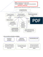 Actividad 34 Anexo Tarea