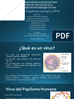 Virus Del Papiloma Humano (VPH)