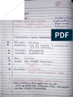 Circulatory System Lecture. 3