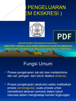 Sistem Ekskresi Pada Manusia