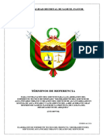 TDR Mejoramiento Del Sevicio de Agua Potable Urbano Almirante Grau (Final)