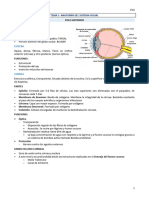 Anatomia Del Ojo