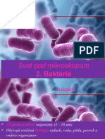 2 Baktérie