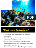 Unit 2 - Ecosystems