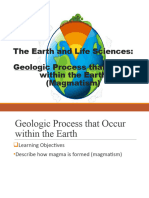 Earth and Life Magmatism