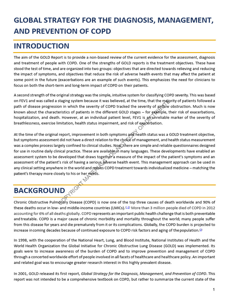COPD Global Strategy Overview | PDF | Chronic Obstructive Pulmonary ...