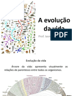 Guimarães N.I. - 3 ANO - Teorias Evolutivas