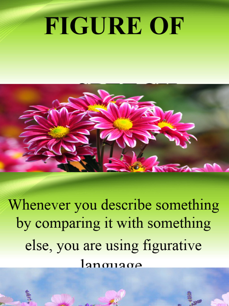 Figures of Speech Explained | PDF | Anthropomorphism